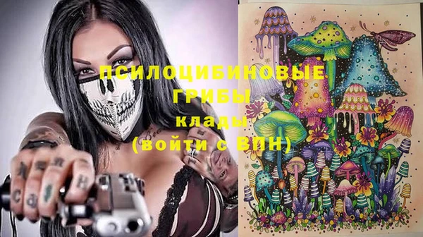 твердый Аркадак