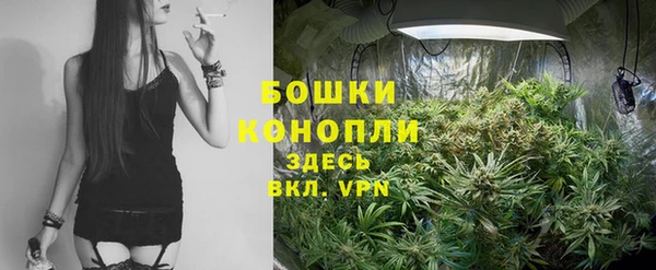 прущие крисы Армянск